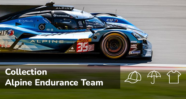 Alpine Endurance Team